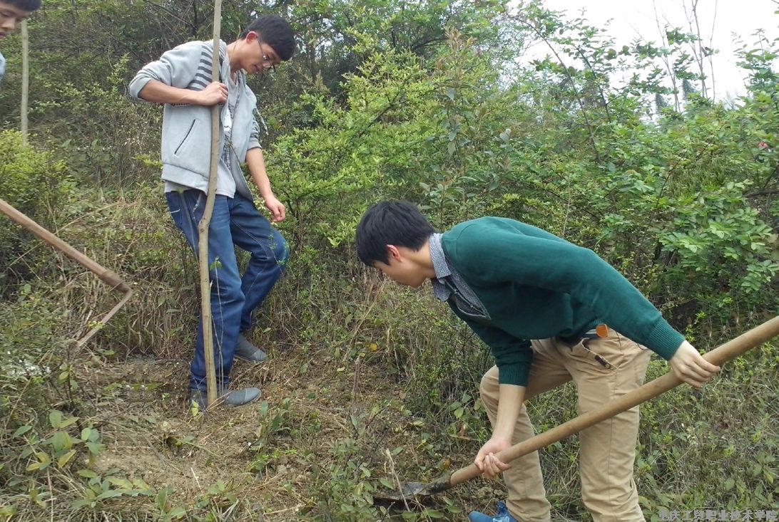 弘扬生态文明 共建绿色校园——我院学生积极参加2013年春季义务植树活动