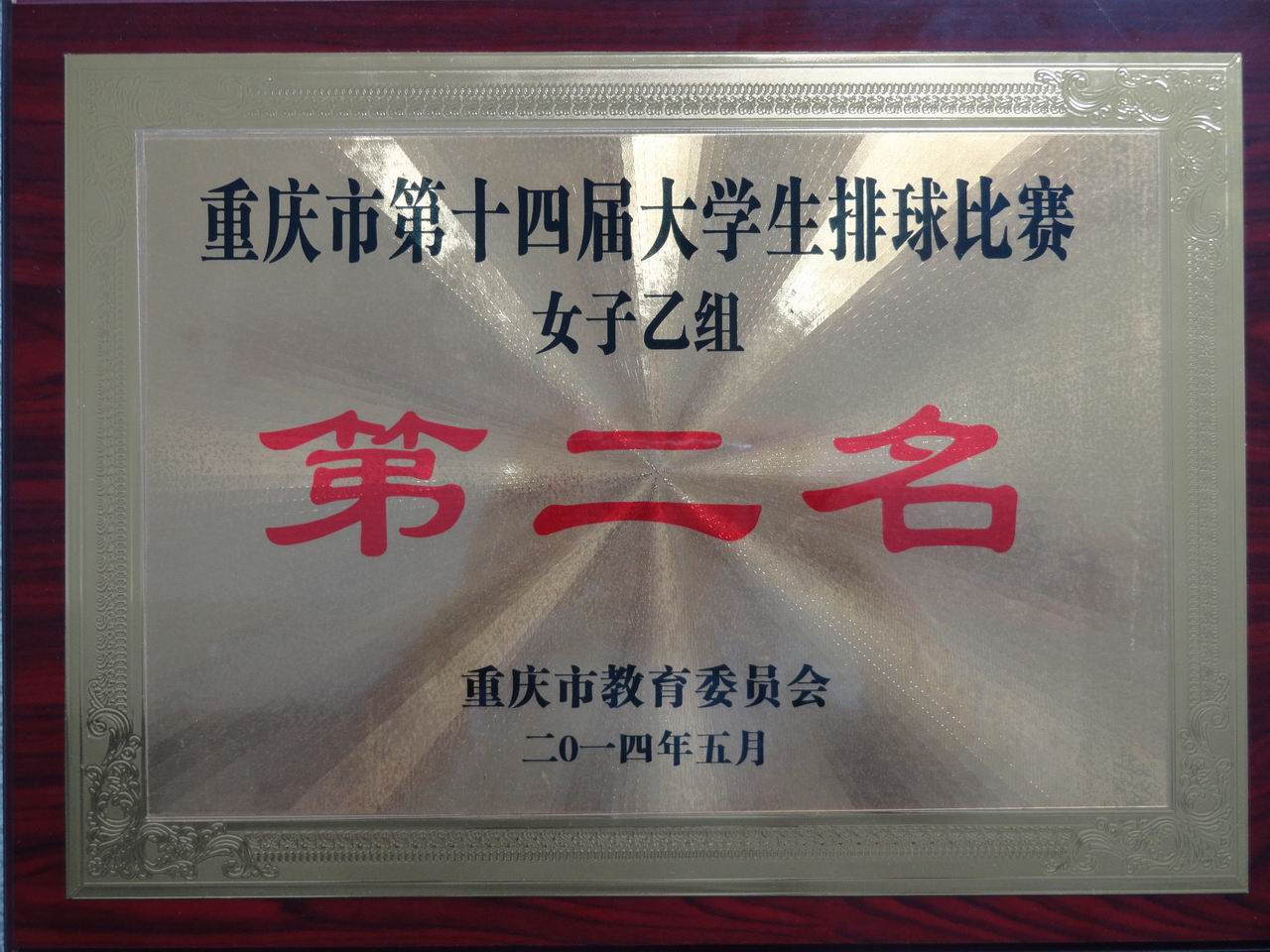 我院参加重庆市第十四届大学生排球比赛获佳绩